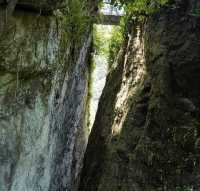 【武夷山3天2夜】人均2k住進山水畫裡!巖茶竹筏+秘境徒