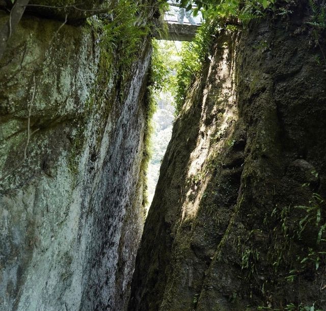 【武夷山3天2夜】人均2k住進山水畫裡!巖茶竹筏+秘境徒 【武夷山3天2夜】人均2k住進山水畫裡!巖茶竹筏+秘境徒