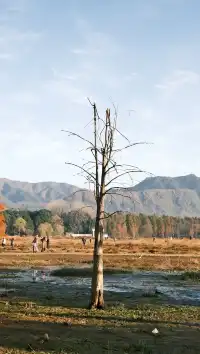 南京周邊遊——皖南的秋