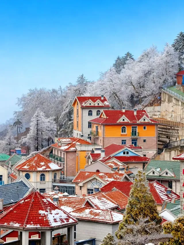 江西廬山要下雪了鎖定12月16-17號