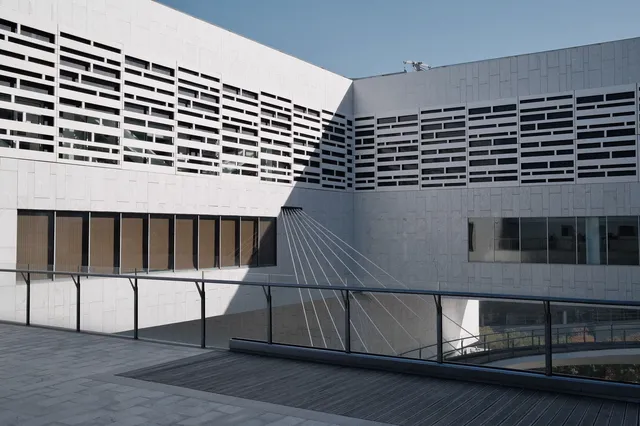 穿越時空的藝術盛宴上海博物館東館必看展