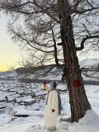 為了這18張圖，我特地飛了一趟阿勒泰（附攻略