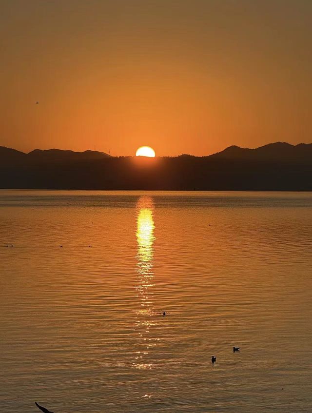 昆明環湖新南路日出 | 美到心醉