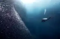 海島遊長灘島直飛