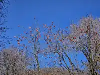 西安遛娃爬山推薦-藍田蓮花山人少不累