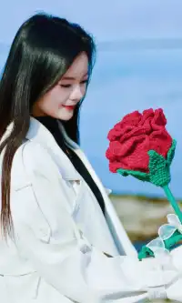 大理紅杉和觀海鷗精華路線！看這篇