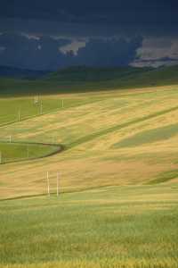 呼倫貝爾最美自駕線|走這一條路就夠了