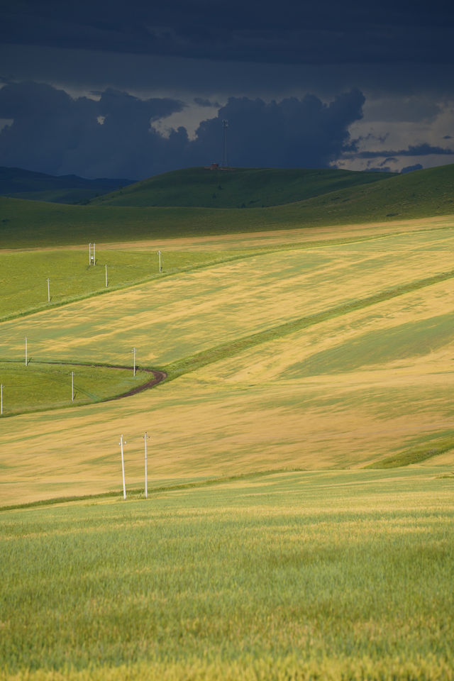 呼倫貝爾最美自駕線|走這一條路就夠了 呼倫貝爾最美自駕線|走這一條路就夠了