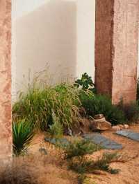 藏在回民街的安靜角落，躺平式逛西安