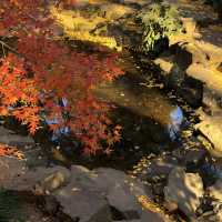 帶上這個以防萬一｜秋天的星星調色教程