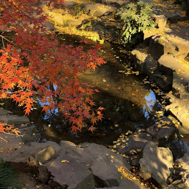 帶上這個以防萬一｜秋天的星星調色教程