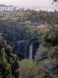 濟州島solo trip一人遊吃住行攻略