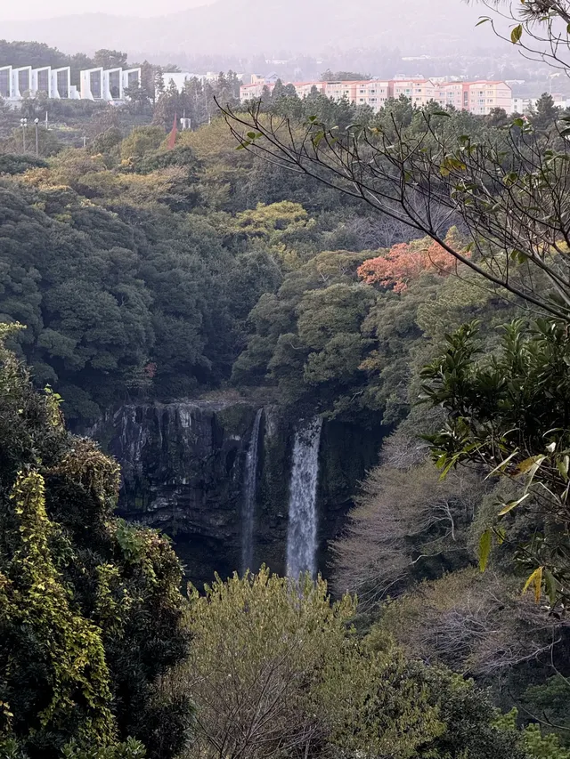 濟州島solo trip一人遊吃住行攻略 濟州島solo trip一人遊吃住行攻略
