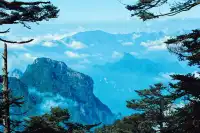 神農谷底實拍‖走進仙境裡了