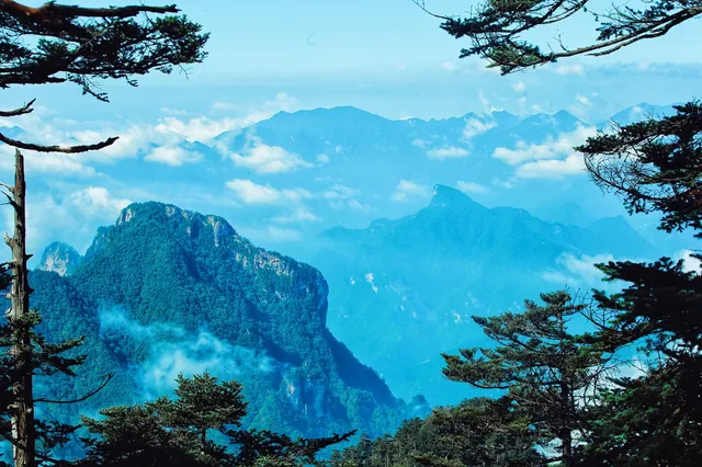 神農谷底實拍‖走進仙境裡了 神農谷底實拍‖走進仙境裡了