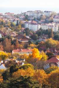 青島信號山絕美視野登頂10分鐘打卡上帝視角!