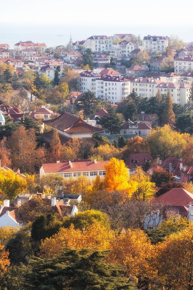 青島信號山絕美視野登頂10分鐘打卡上帝視角! 青島信號山絕美視野登頂10分鐘打卡上帝視角!