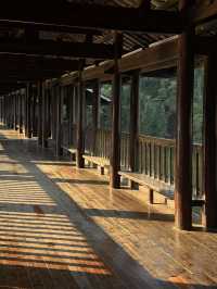 烈士公園的秋日氛圍