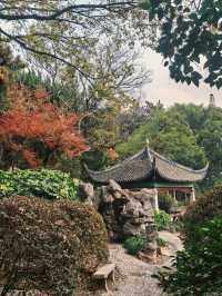 葉園秋深 | 一庭朱色染畫簷