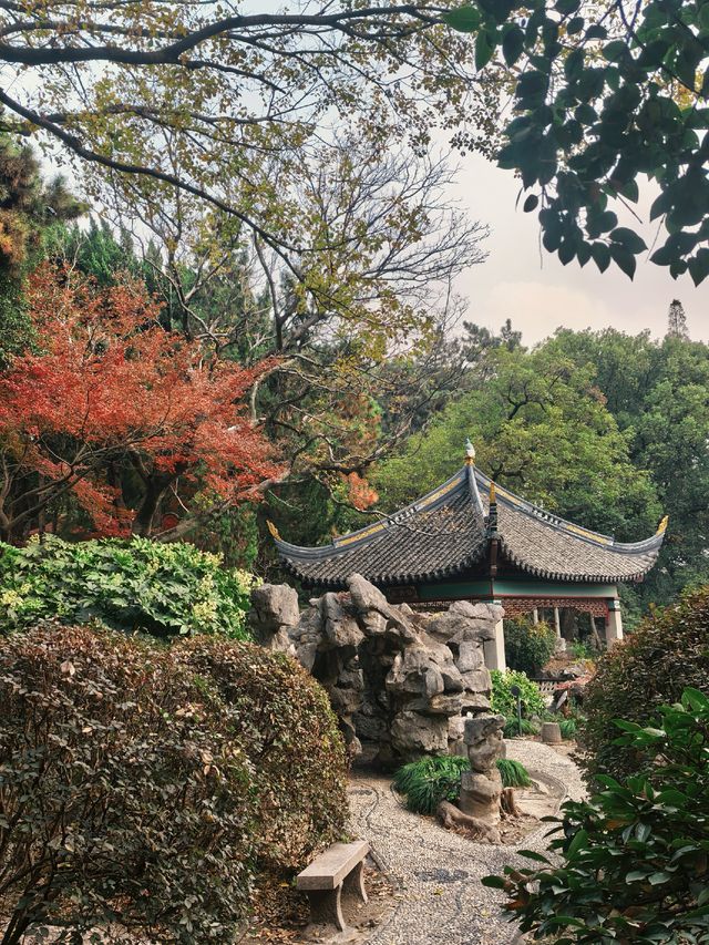 葉園秋深 | 一庭朱色染畫簷 葉園秋深 | 一庭朱色染畫簷