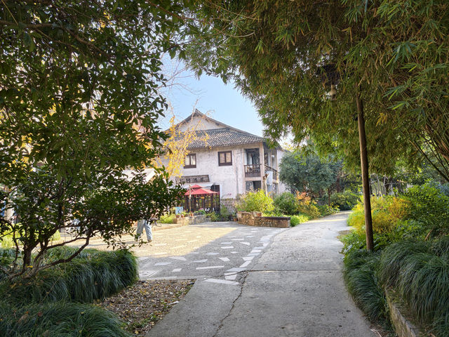 烏村(景色篇)照片太多,20張都不夠發 烏村(景色篇)照片太多,20張都不夠發