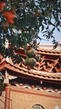 泉州藏了一處千年古寺!比開元寺更清淨