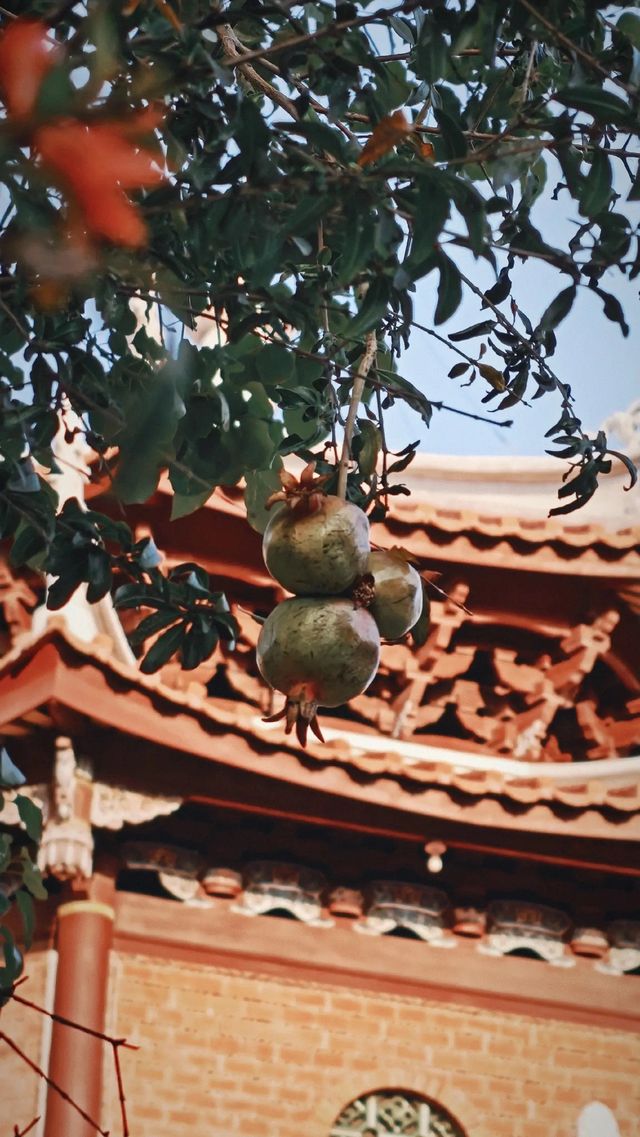 泉州藏了一處千年古寺!比開元寺更清淨 泉州藏了一處千年古寺!比開元寺更清淨