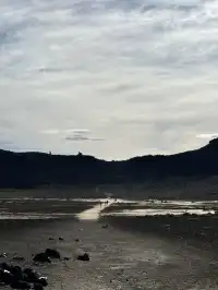 新西蘭最強徒步之一！20km Tongariro