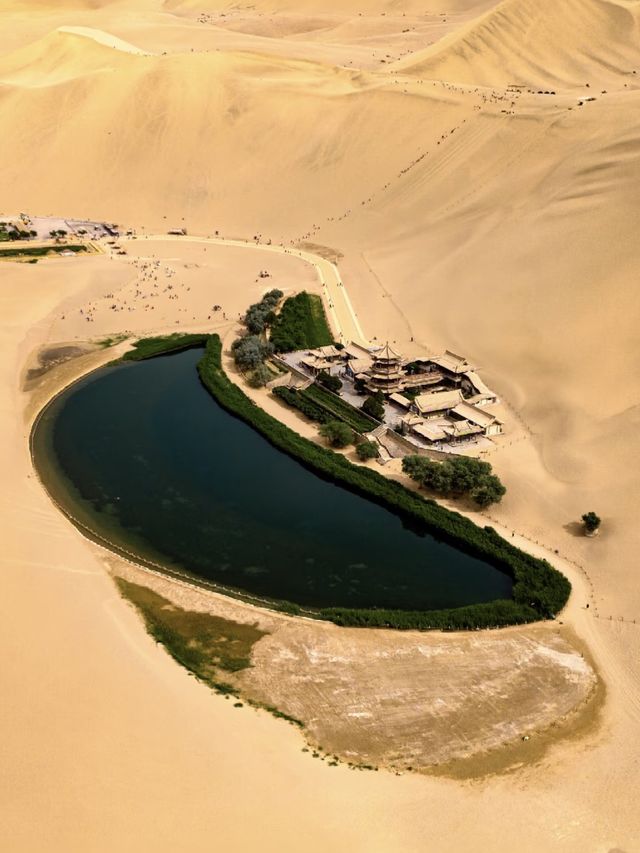 中國最孤獨的孩子—大地之子! 中國最孤獨的孩子—大地之子!