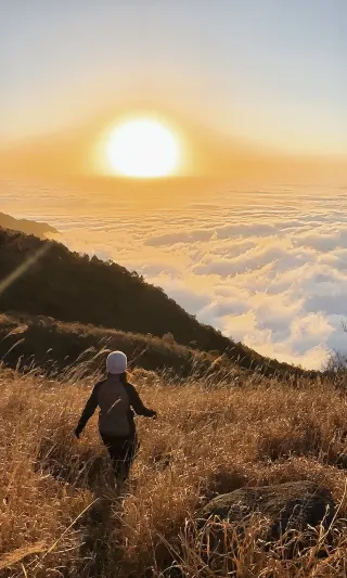 남풍면-릉봉 중장비|한파를 뚫고 산에 올라 구름바다 유성우를 쫓다