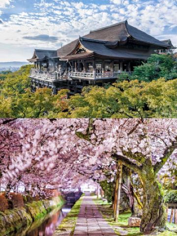 Six Senses Kyoto: Recreating Traditional Japanese Tranquility for an Immersive Luxury "Slow Living" Experience