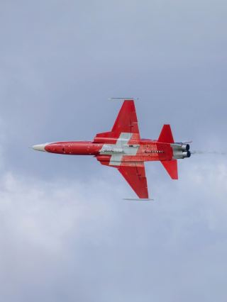 การแสดงผาดโผนทางอากาศ "Payerne Cloud Sea" ในงาน Swiss Air Show