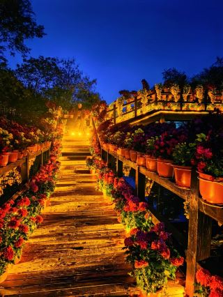 ภูเขาไคเฟิงว่านซุย · เมืองศิลปะการต่อสู้สมัยราชวงศ์ซ่ง: การเดินทางหนึ่งวันผ่านโลกแห่งศิลปะการต่อสู้