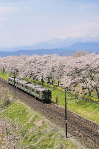 Sendai | Surprises Nonstop, Miyagi Cherry Blossom Viewing Three-Day Tour Guide