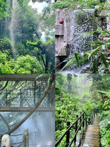 深圳必見スポット！青青世界熱帯雨林探検ガイド | Trip.com 深セン