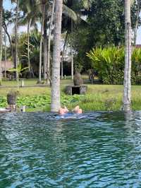 An Enchanting Stay in a Tropical Paradise