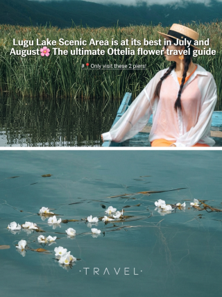 Lugu Lake's exclusive July–August hidden gem! The ultimate guide to water snowflake flowers