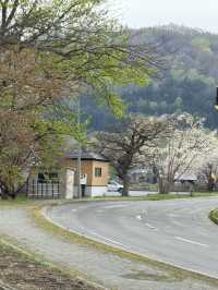 日本6日遊保姆級攻略，建議直接抄作業