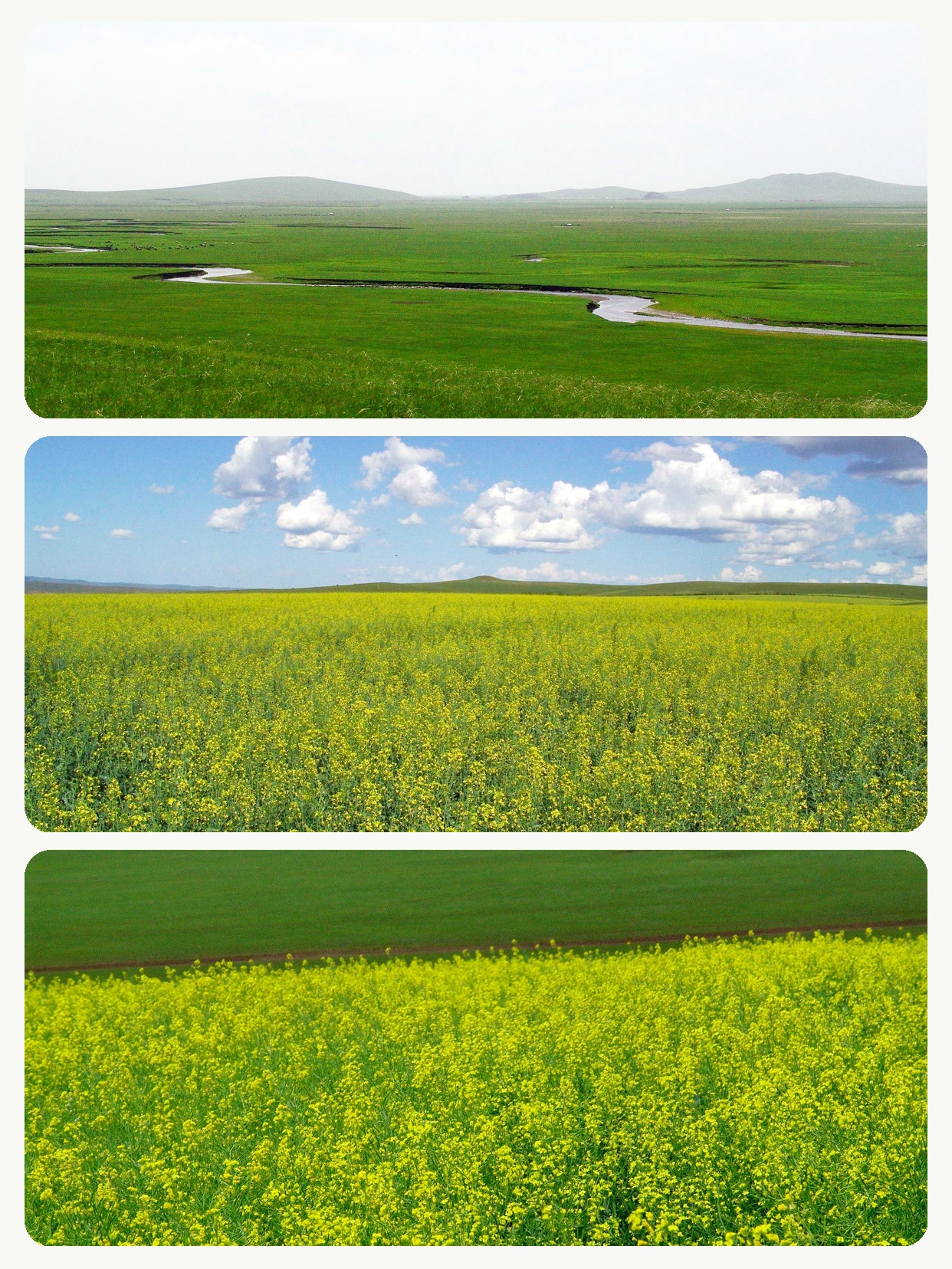 Chi phí trung bình cho mỗi người trong dịp Tết Trung thu là từ ba đến bốn trăm nhân dân tệ, và điều đáng ngạc nhiên là giá cả ở thị trấn nhỏ này không hề tăng.