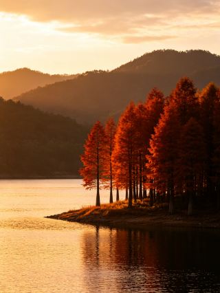  寧波に隠れた野趣あふれる湖の絶景！秋の亭下湖で、湖畔のメタセコイアの風景を堪能しよう