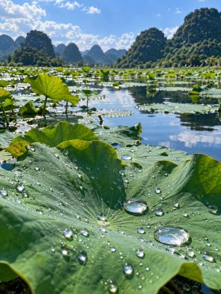 Puzhehei Karst Lake Cluster