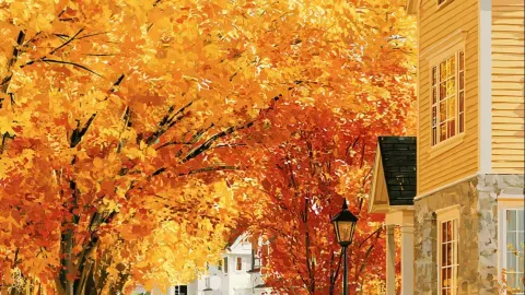 ฤดูใบไม้ร่วงในพอร์ตแลนด์ คือจานสีที่พระเจ้าทำหกไว้ — traveler post in มัลท์โนมาห์ เคาน์ตี