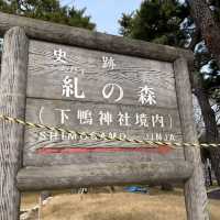 下鴨神社⛩️祈求戀愛順利🫶🏻京都隱世景點