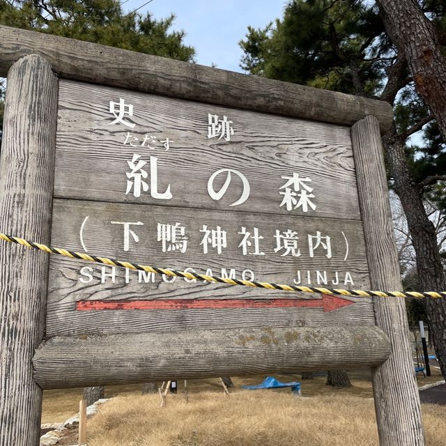 下鴨神社⛩️祈求戀愛順利🫶🏻京都隱世景點