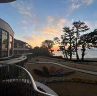 オーシャンビュー🏖河津桜もすぐそこ🌸