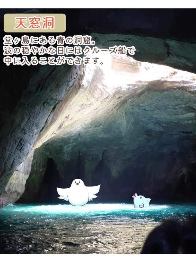 【静岡】西伊豆観光スポット4選
