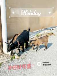 靚到好似台灣郊外一樣
