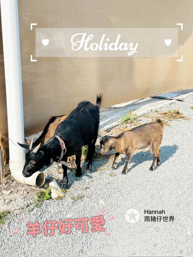 靚到好似台灣郊外一樣