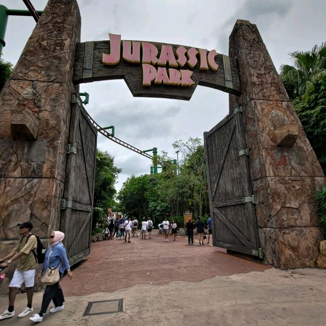 Lots of exciting rides
