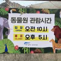 서울 도심 속 무료 동물원🐘